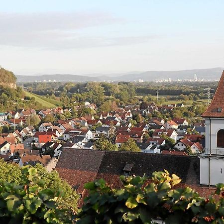 Mariposa Apartamento Efringen-Kirchen Kültér fotó