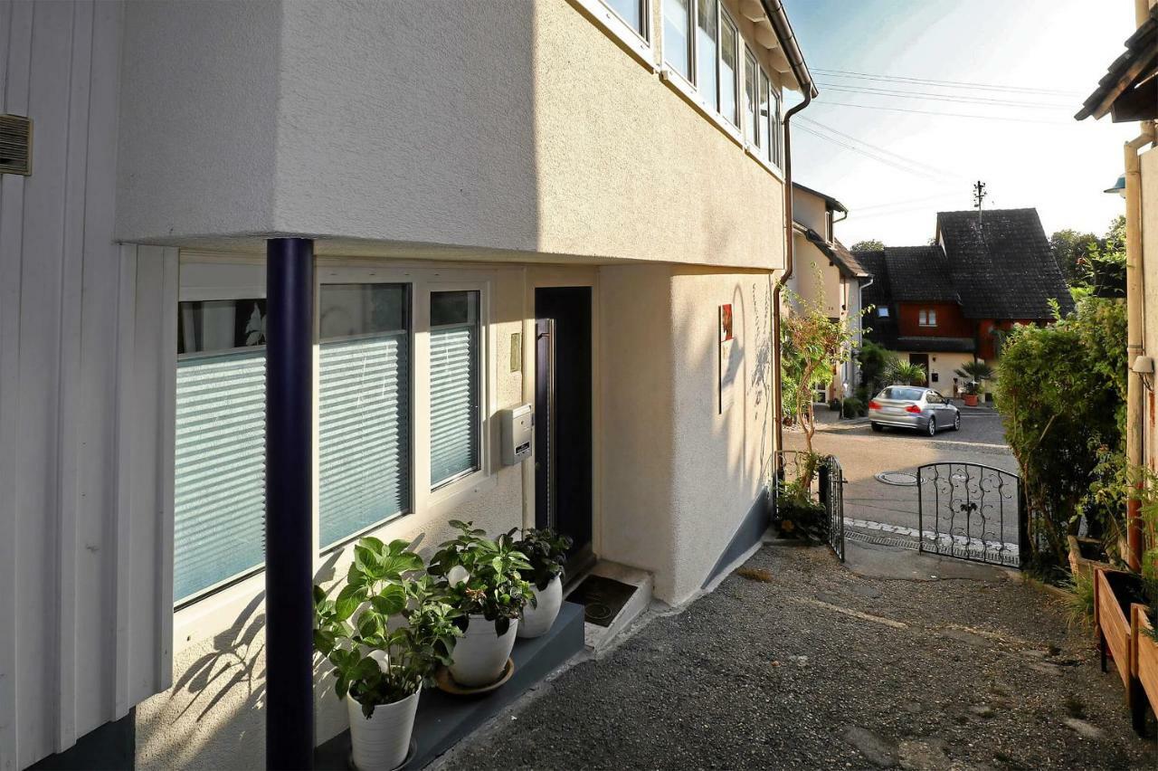 Mariposa Apartamento Efringen-Kirchen Kültér fotó