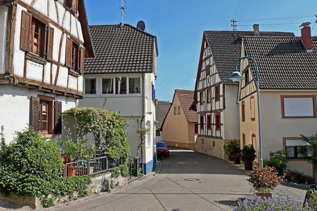 Mariposa Apartamento Efringen-Kirchen Kültér fotó