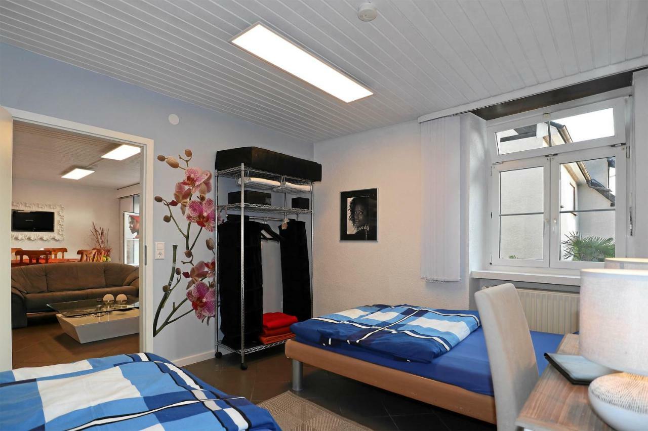 Mariposa Apartamento Efringen-Kirchen Kültér fotó